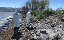 Разлив нефтепродуктов обнаружен в нерестовой реке на Камчатке