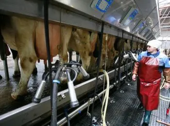 медведев: государство поможет предпринимателям продвигать российские товары на зарубежные рынки - Сайт Газеты «Совершенно Секретно»