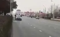 В Грозном застрелили преступника, который зарезал полицейского во время намаза (ВИДЕО)