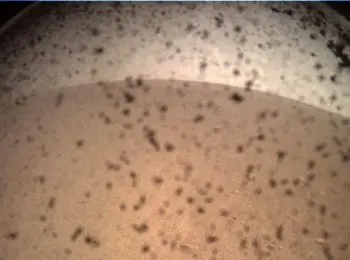 зонд nasa прислал на землю снимок марса - Сайт Газеты «Совершенно Секретно»