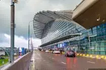 Во Внуково задержали девушку, которая пыталась провести в желудке 440 грамм кокаина