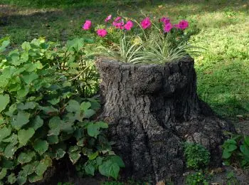 правительство назвало краснодар самым благоустроенным городом россии - Сайт Газеты «Совершенно Секретно»