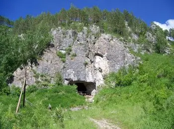 на алтае нашли очередной череп денисовского человека - Сайт Газеты «Совершенно Секретно»