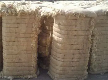 «ШЕРСТЯНОЕ ДЕЛО» ЩЁЛОКОВА - Совершенно Секретно