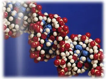 сибирские учёные изобрели материал для создания «запчастей» для человека - Сайт Газеты «Совершенно Секретно»