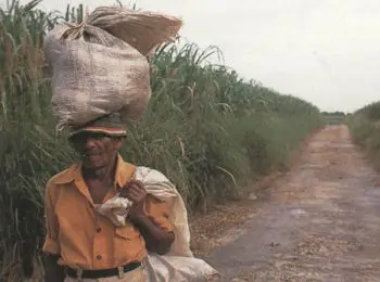 современные рабы приносят прибыль в 150 млрд - Сайт Газеты «Совершенно Секретно»