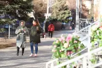 Самые теплые сутки с начала года зарегистрированы в Москве