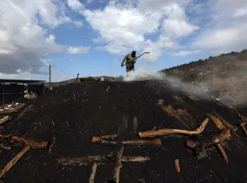 днр не будет продавать киеву уголь до завершения боевых действий в донбассе - Сайт Газеты «Совершенно Секретно»