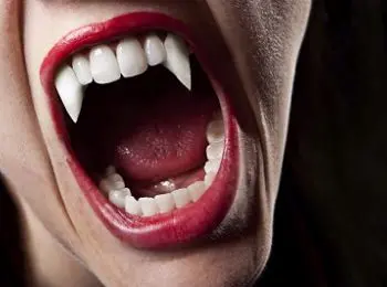 в ульяновской области посадили девушку, покусавшую полицейского - Сайт Газеты «Совершенно Секретно»