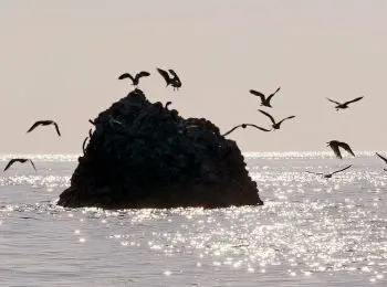 украина расторгнет договор с россией по азовскому морю - Сайт Газеты «Совершенно Секретно»