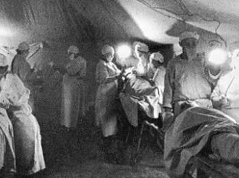 Торжество плесени - Совершенно Секретно