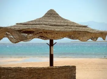 медведев посоветовал россиянам на долгое время забыть о полетах в египет - Сайт Газеты «Совершенно Секретно»