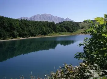 развитием российского туризма будет заниматься новый специальный совет - Сайт Газеты «Совершенно Секретно»