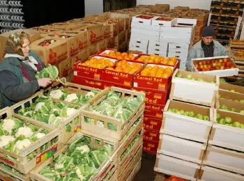 центробанк хочет построить 200 овощебаз за счет пенсионных накоплений - Сайт Газеты «Совершенно Секретно»