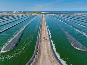 ПАСТИ РЯДОВОГО РАЙАНА - Совершенно Секретно