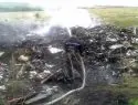 При крушении Малайзийского Boeing в Донецкой области погибли 295 человек