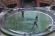 Братьев Запашных обвинили в жестоком обращении с животными при подготовке к новым гастролям (ВИДЕО)