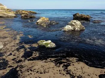 санта-барбара объявлена зоной бедствия из-за разлива 2,5 тыс баррелей нефти - Сайт Газеты «Совершенно Секретно»