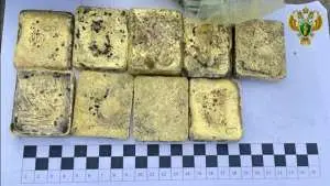 Жителя Забайкалья осудили за контрабанду драгметаллов на 425 млн рублей