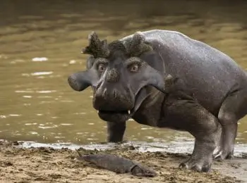 в пермском крае нашли окаменевшую кость звероящера, который больше нигде в мире не водился - Сайт Газеты «Совершенно Секретно»