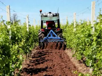 СЕРБ И МОЛОТ - Совершенно Секретно