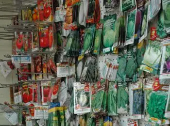 Зловещий укроп - Совершенно Секретно