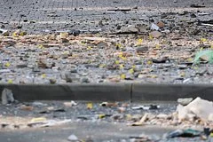 В День памяти и скорби ВСУ нанесли ракетный удар по Воронежу. Есть пострадавшие