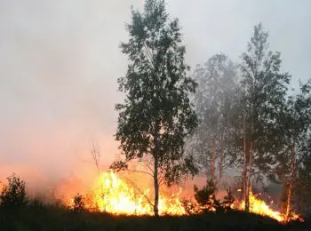 к тушению лесного пожара в приморье приступил вертолет ми-8 - Сайт Газеты «Совершенно Секретно»