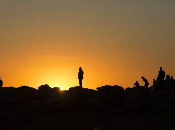 к границам снг приближаются 4,5 тыс боевиков «исламского государства» - Сайт Газеты «Совершенно Секретно»