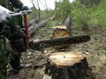 медведев подписал план популяризации рабочих и инженерных профессий - Сайт Газеты «Совершенно Секретно»