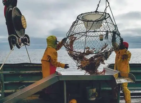 Ползком за крабом - Совершенно Секретно