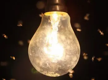 на украине отключать электричество будут дважды в сутки - Сайт Газеты «Совершенно Секретно»