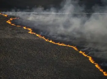 аваков отправил силовиков на патрулирование зоны отчуждения вокруг чернобыльской аэс - Сайт Газеты «Совершенно Секретно»