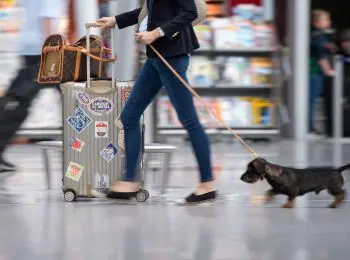 россияне перестали планировать отпуск, собираясь в сочи, санкт-петербург или казань - Сайт Газеты «Совершенно Секретно»