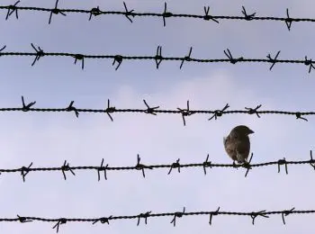 тюрьмы великобритании превратят в квартиры - Сайт Газеты «Совершенно Секретно»