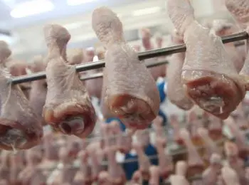 фас: цены на мясо за две недели выросли на 40% - Сайт Газеты «Совершенно Секретно»