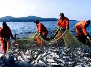 ГОД-ТО УРОЖАЙНЫЙ - Совершенно Секретно