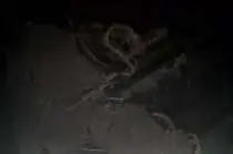 В интернете появились новые кадры с уничтоженным газопроводом «Северный поток» (ВИДЕО)