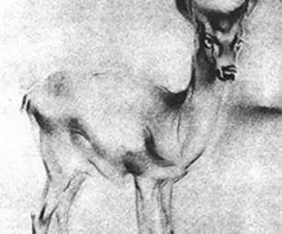 ПОДДЕЛКИ - Совершенно Секретно