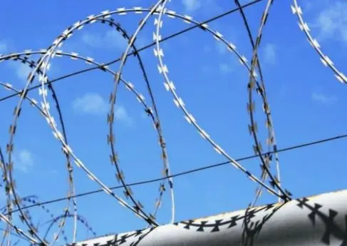 Минюст РФ подготовил проект об обработке биометрии осужденных