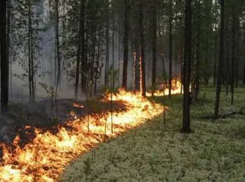 для тушения пожаров около байкала используют непригодный инвентарь - Сайт Газеты «Совершенно Секретно»