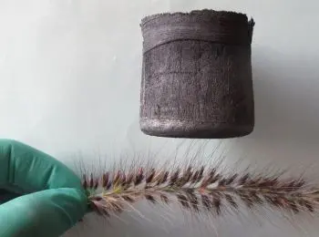 НЕВИДИМКА ПРОТИВ ТЕРМИНАТОРА - Совершенно Секретно