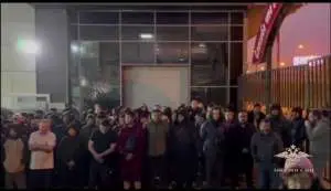 Полиция задержала пять человек за легализацию более 3 тыс. мигрантов