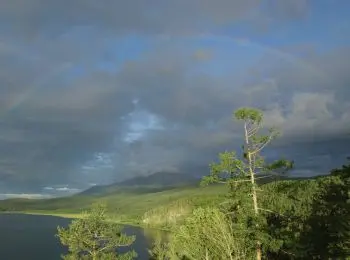 россия заняла первое место по числу деревьев на планете - Сайт Газеты «Совершенно Секретно»