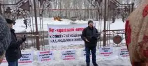 Новосибирские фермеры подали коллективный иск против властей из-за изъятия скота