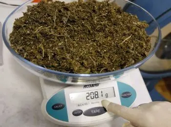 глава фскн обвинил украину в распространении “спайса-убийцы” в россии - Сайт Газеты «Совершенно Секретно»