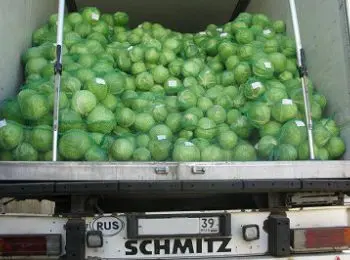 несмотря на санкции, калининградские товары тихой сапой покоряют рынки европы - Сайт Газеты «Совершенно Секретно»