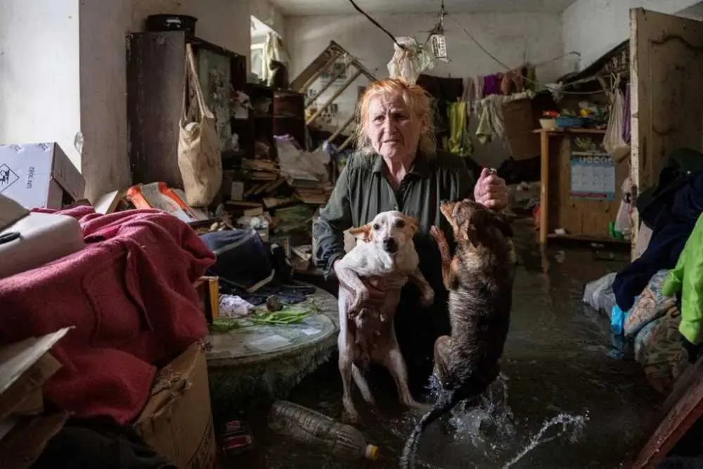 photo1686469594 (3).jpeg