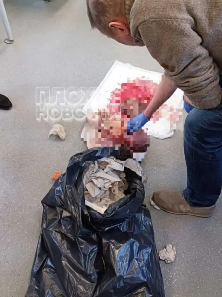 photo1682319059 (1).jpeg