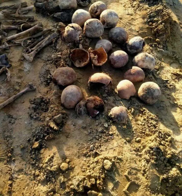 photo1677508351.jpeg photo1677508351.jpeg